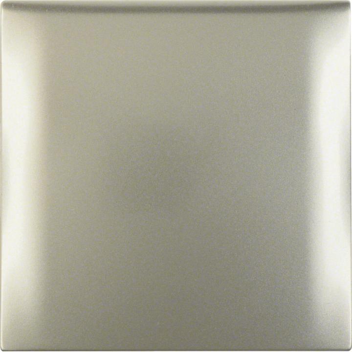 Actual product image Berker Frame with hinged cover Integro stainless steel