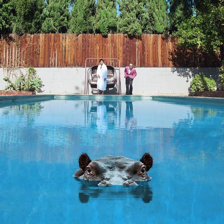 Produktbild Hippopotamus (2LP) (Sparks)