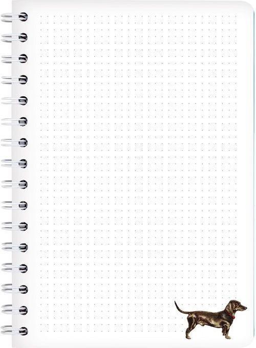 Immagine prodotto Cedon Raccoglitore ad anelli A5 BELLO (A5, Quadretti)