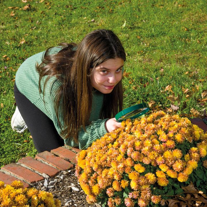 Image du produit Carson Loupe à main 2x130mm