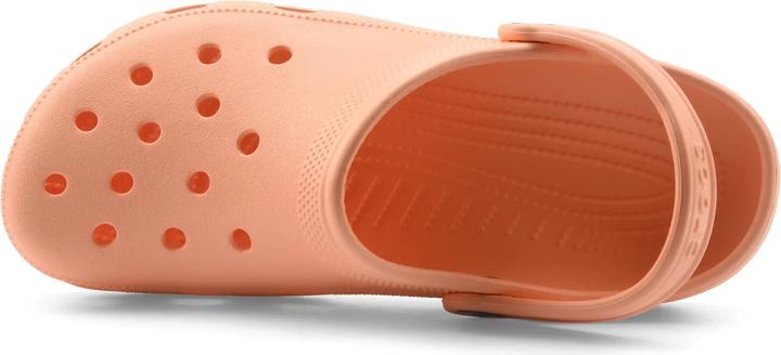 Actual product image Crocs Classic Clog (45)
