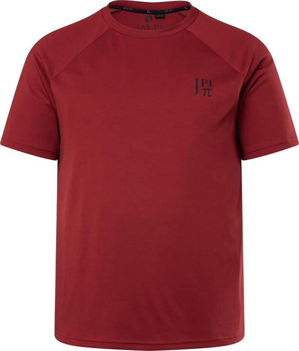 Produktbild Jay-Pi T-Shirt FLEXNAMIC®, Fitness, Halbarm, QuickDry, bis 7 XL (XL)