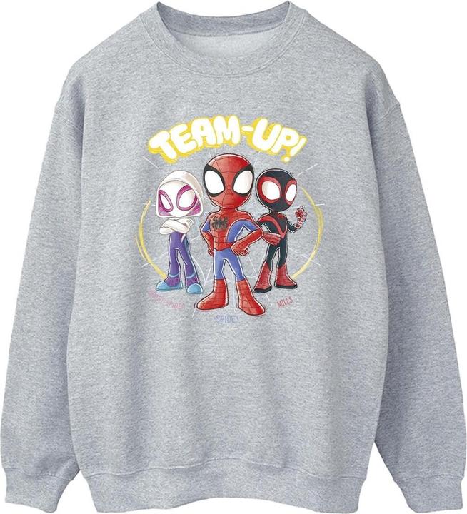 Produktbild Spidey And His Amazing Friends Sketch Sweatshirt (3XL)