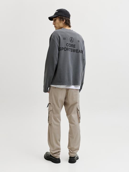 Image du produit Jack & Jones Relaxed Fit Cargo-Hose Cargo-Hose (W33/L30)