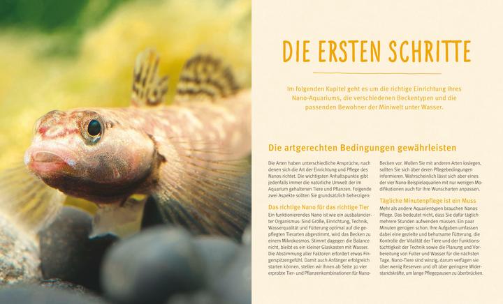 Image du produit Nano aquariums (20.20 cm)