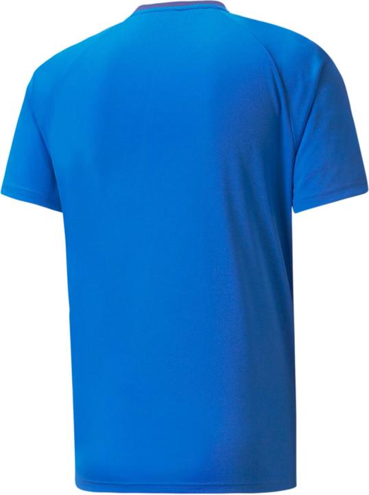 Produktbild Puma teamVISION Jersey-704921 (M)
