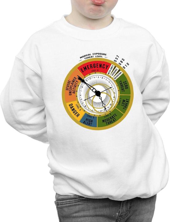 Immagine prodotto Fantastic Beasts Threat Level Felpa Ragazzi (140, 146)