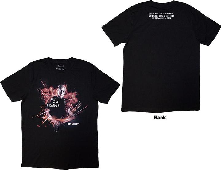 David Gilmour Luck & Strange Brighton
