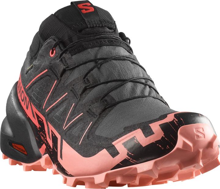 Image du produit Salomon Speedcross 6 GTX - 68435 (40)