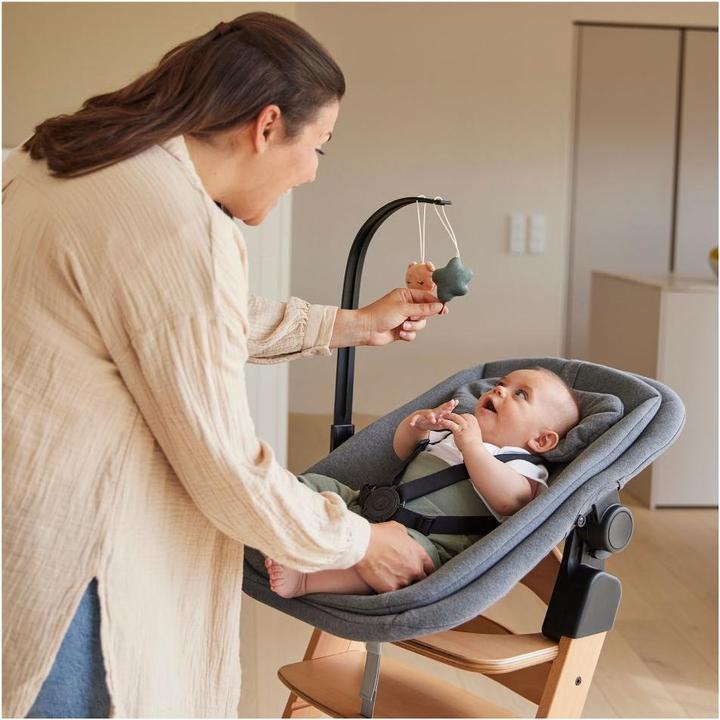 Actual product image Hauck Highchair Bouncer Mobile Bear