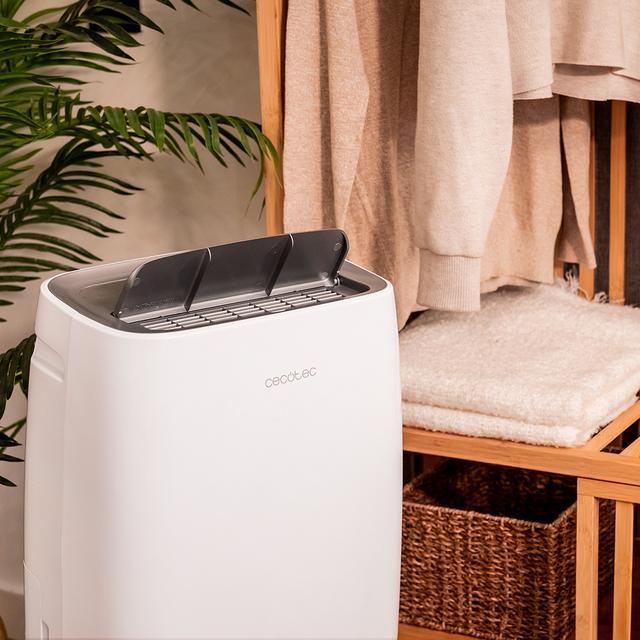 Actual product image Cecotec BigDry 10000 Expert Connected (60 m², 30 l/24h)