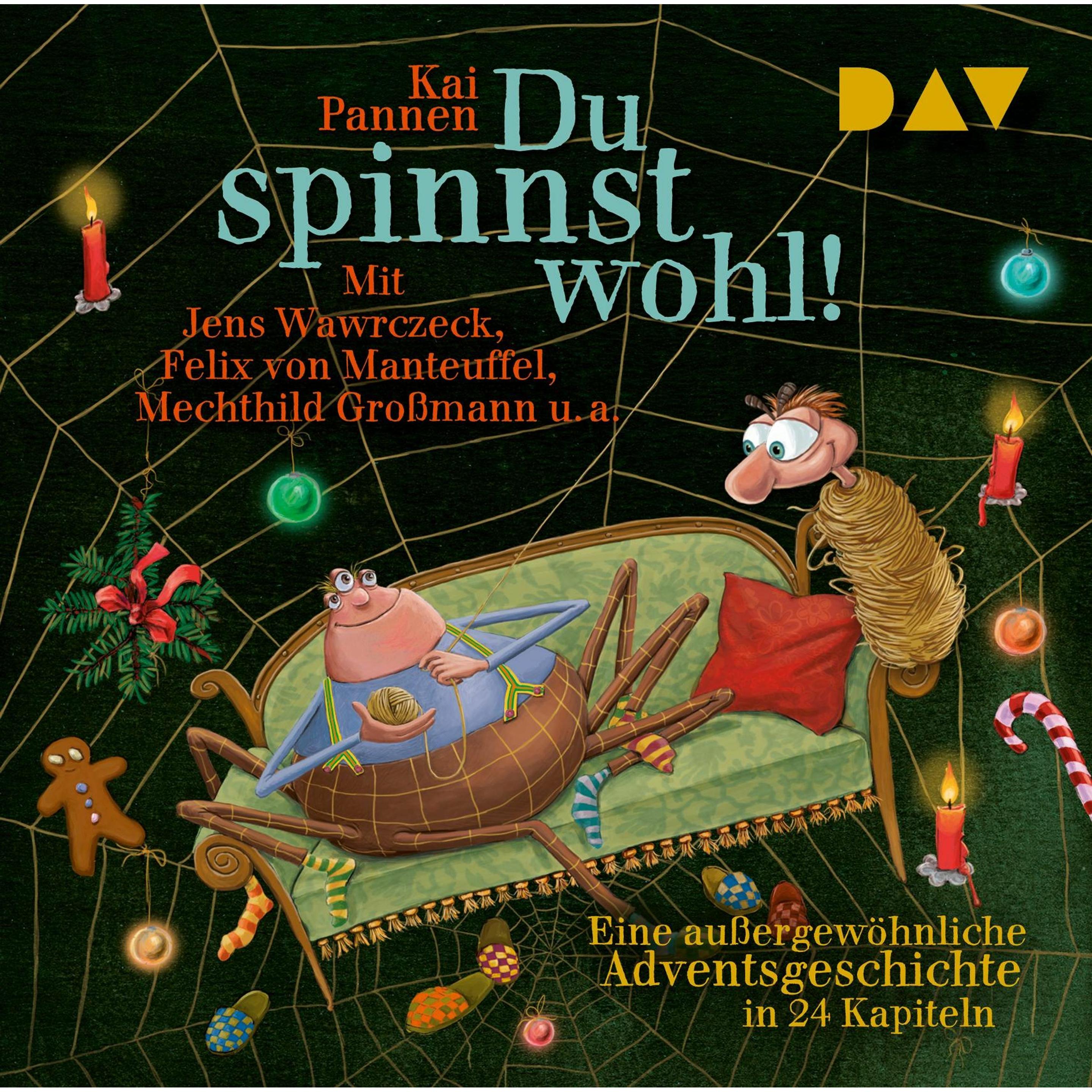 Du spinnst wohl! Eine aussergewöhnliche Adventsgeschichte in 24 Kapiteln, Hörbücher von Kai Pannen