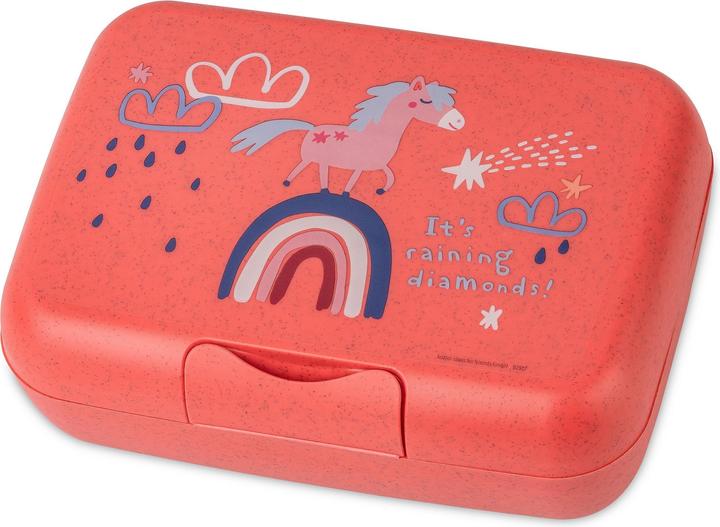 Lunch box