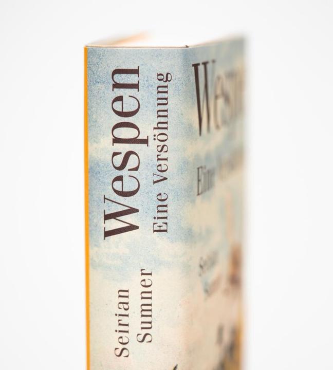 Immagine prodotto Wespen – Eine Versöhnung (Tedesco, Andrea Schmittmann, Seirian Sumner, 2023)