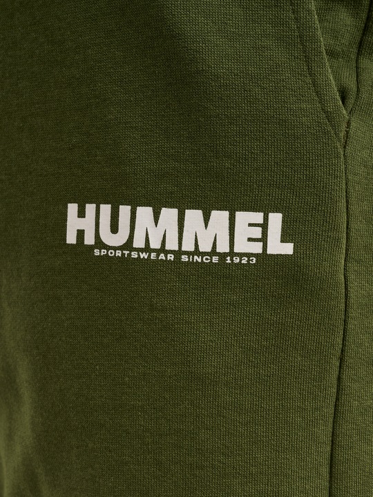 Actual product image hummel Legacy Shorts (M)