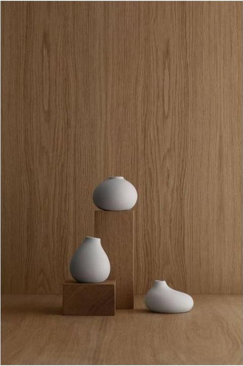 Immagine prodotto Blomus Vaso da fiori (3x)
