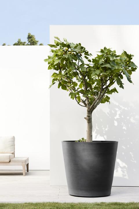 Image du produit Ecopots Amsterdam Wheels (80 cm)