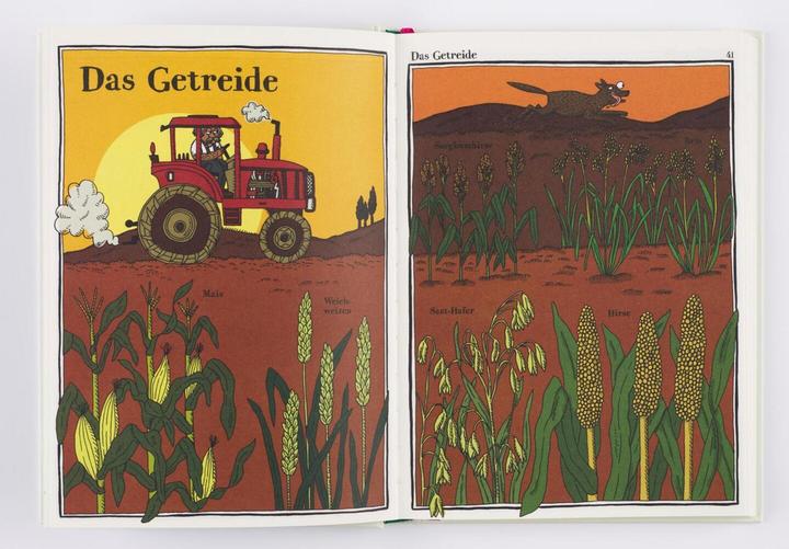 Produktbild Kaktus, Klee und Kopfsalat (Deutsch, 2018)