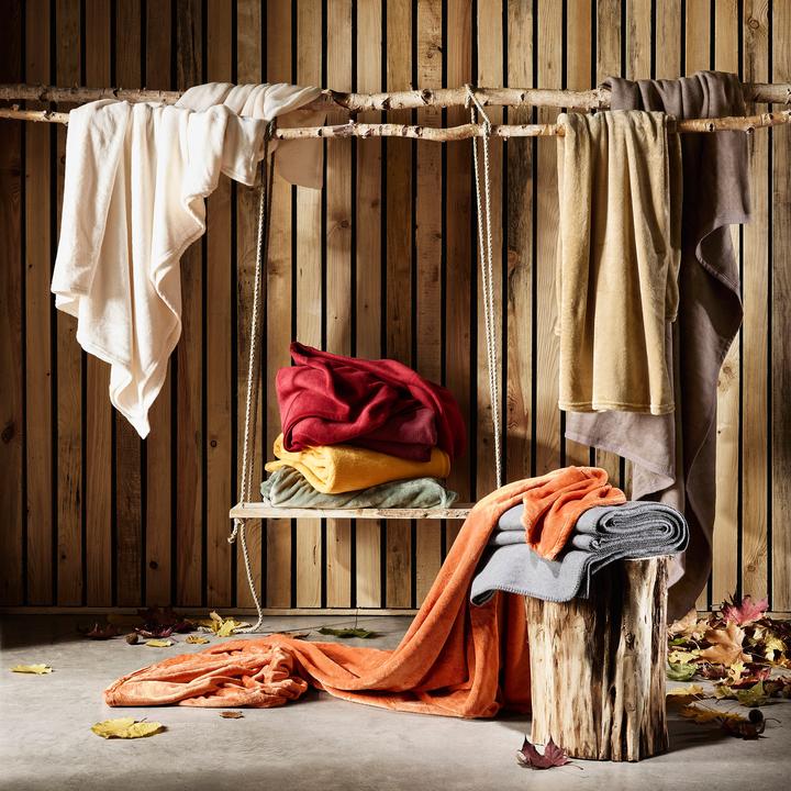 Actual product image Erwin Müller Living rug (180 x 220 cm)