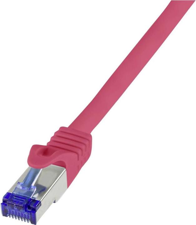 Rot
