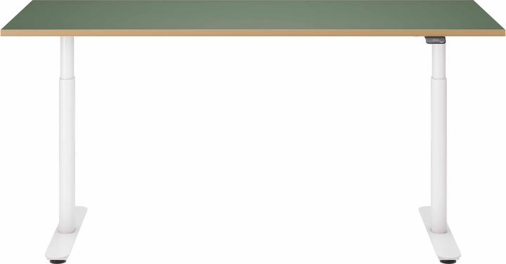 Image du produit ofinto Rise