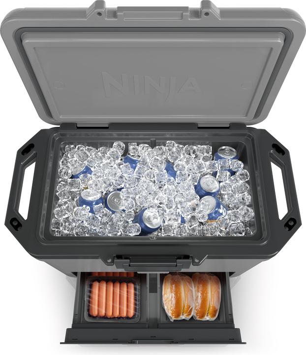 Actual product image Ninja FrostVault FB151EUGY (47 l)
