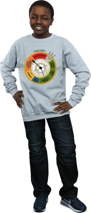 Produktbild Fantastic Beasts Threat Level Sweatshirt Jungen (152, 158)
