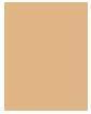 Actual product image Physicians Formula Butter Foundation & Concealer ealer 1711755E (Fair)