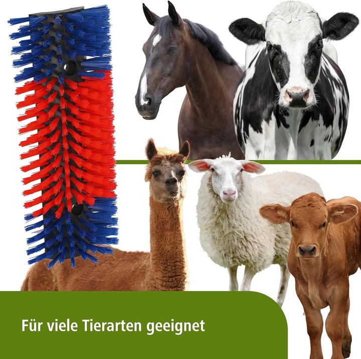 Image du produit Kerbl Brosse à gratter (Cheval)