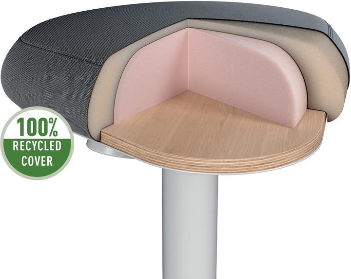 Actual product image Leitz Ergo Active