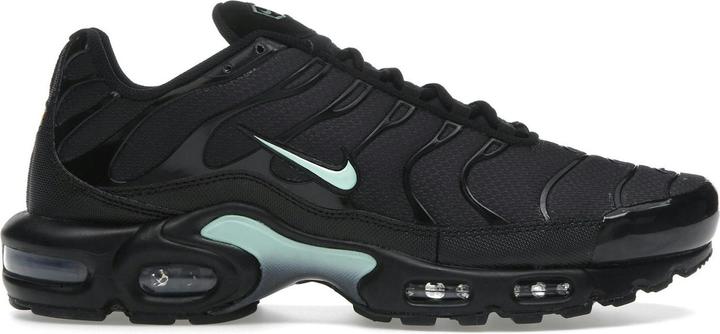 Actual product image Nike Air Max Plus (44.5)