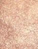Produktbild MAC Cosmetics Mineralize Skinfinish (Global Glow)