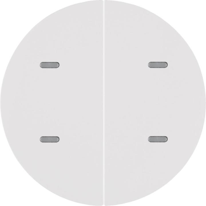 Actual product image Berker 80162869