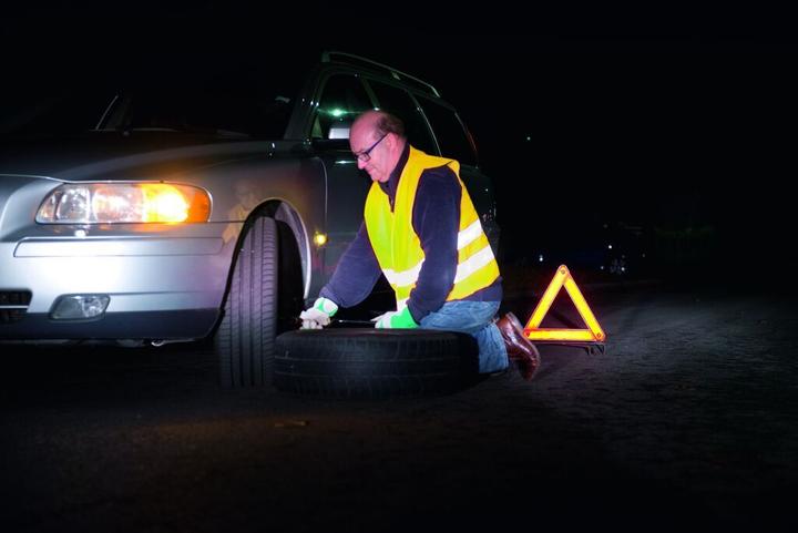 Actual product image Dunlop Sicherheitsweste (One size)