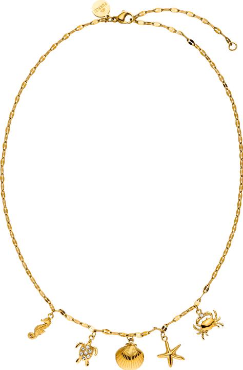 Image du produit Purelei Underwater World Kette (Acier inoxydable)