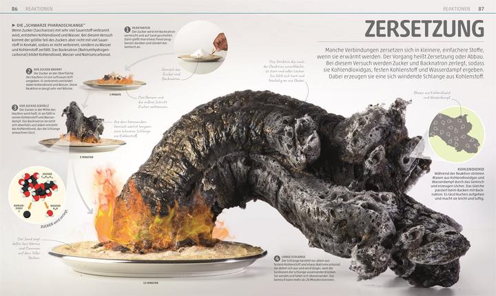 Actual product image Mega-Wissen. Natur & Technik (German, Birgit Reit, 2020)