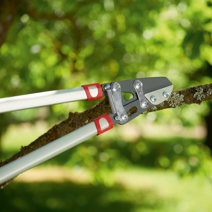 Produktbild Wolf-Garten Astschere