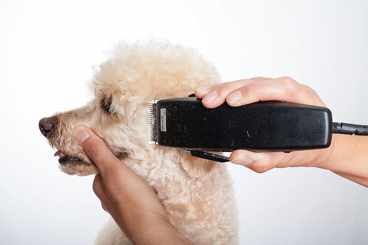 Produktbild Moser Hunde-Haarschneidemaschine (Hund, Katze)