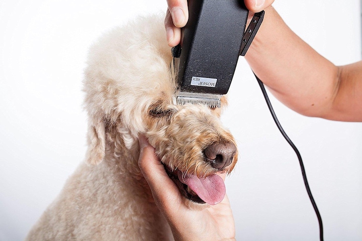Produktbild Moser Hunde-Haarschneidemaschine (Hund, Katze)