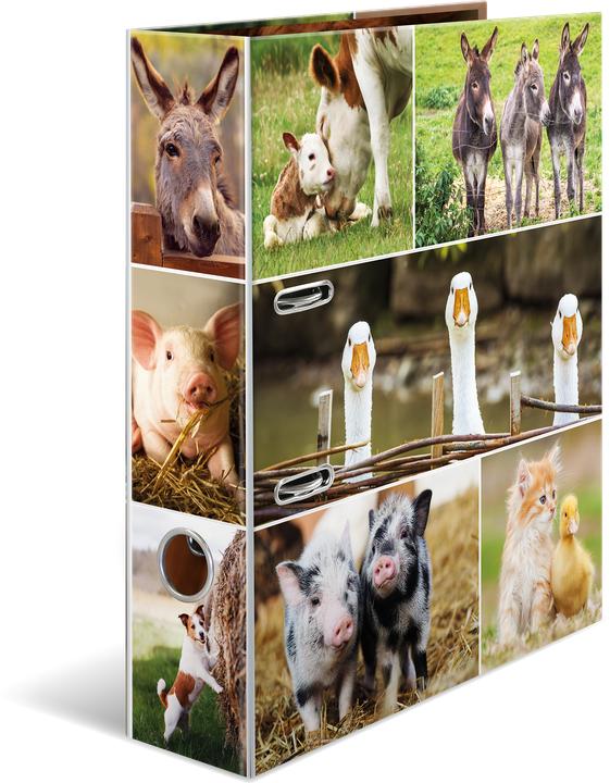 Animal motif