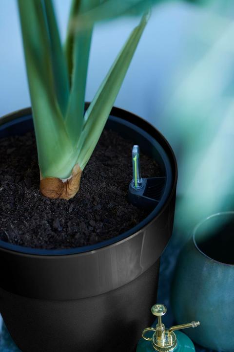 Produktbild Elho B.for Original (30 x 27.30 cm)