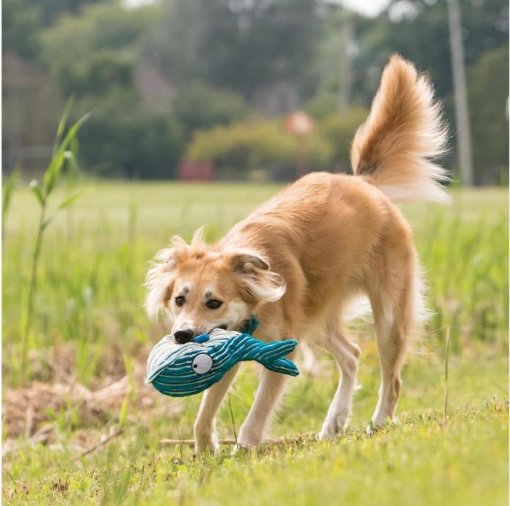 Produktbild KONG CuteSeas (Plüschspielzeug Hund)