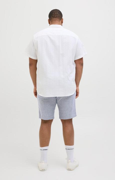 Actual product image Jack & Jones Plus Size Regular Fit Chino Shorts Chino Shorts (48)