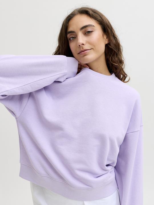 Produktbild JJXX Jxalfa Rlx Ls Crew Swt Sn (L)