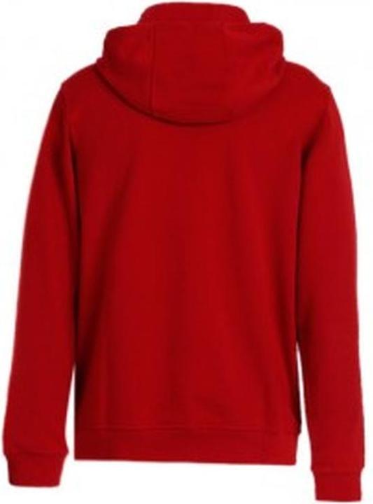 Image du produit Helly Hansen HH Logo Hoodie (M)