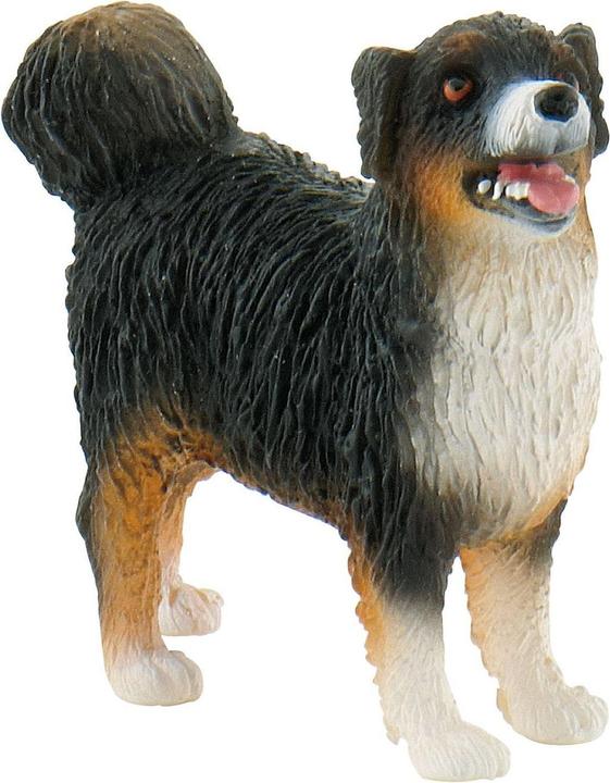 Produktbild Bullyland Australien Shepherd