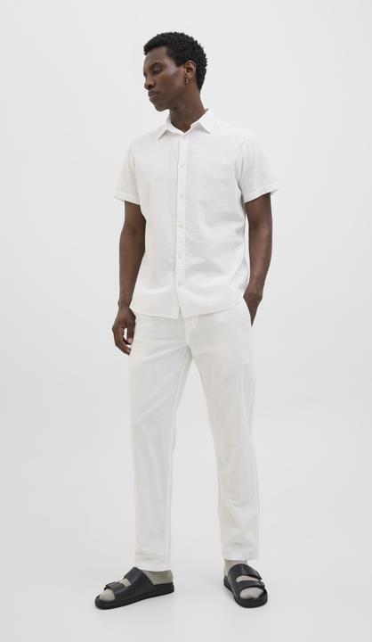 Actual product image Jack & Jones Jpstkane Jjsummer Jogger Sn (XXL)