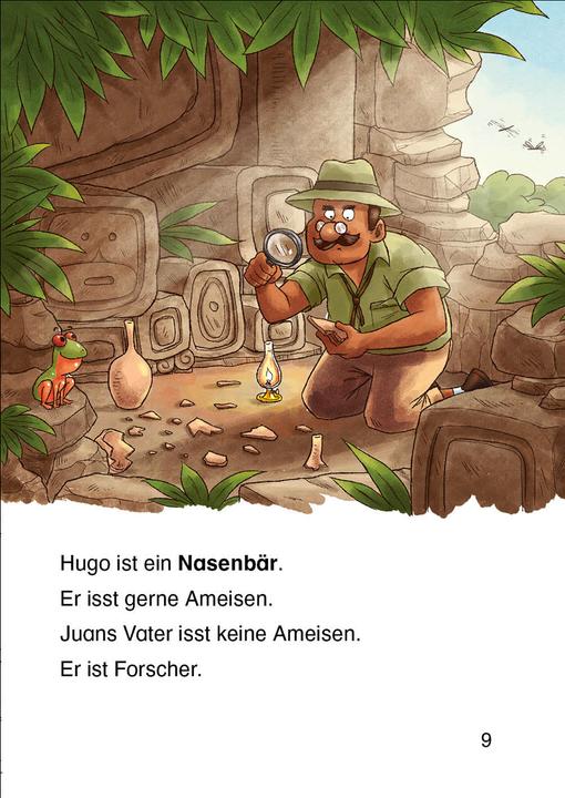 Image du produit Leselöwen 2. Klasse - Abenteuer im Maya-Tempel (Allemand, Anni Möwenthal, Dominik Rupp, Livres de première lecture Loewe, 2021)