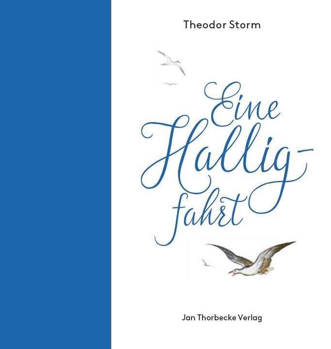 Actual product image Eine Halligfahrt (German, Theodor Storm, 2018)