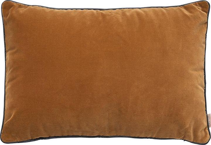 Brown, Tan